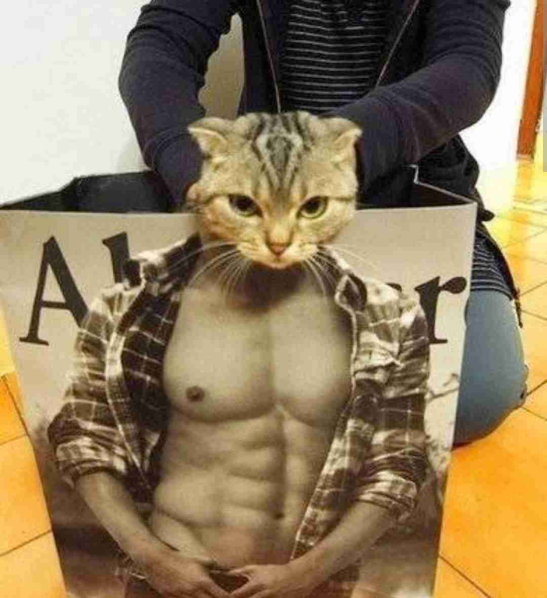 胸焼けしそうな画像ください
