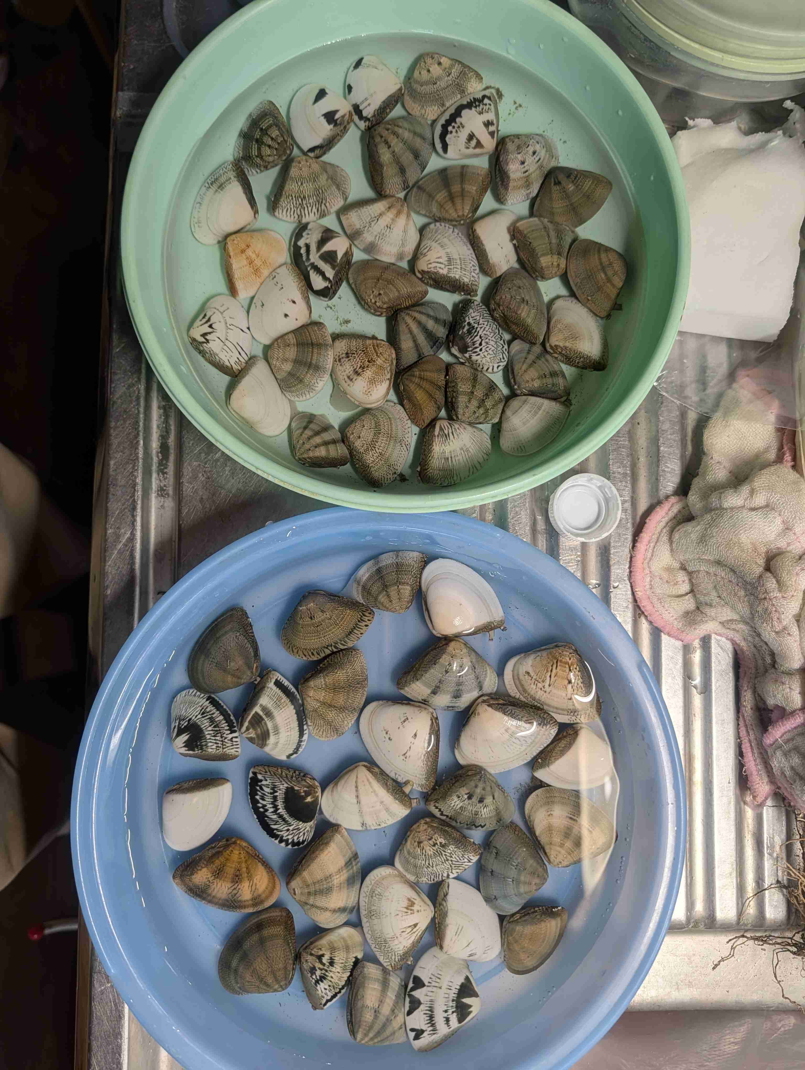 何かしら運動したら報告するトピ