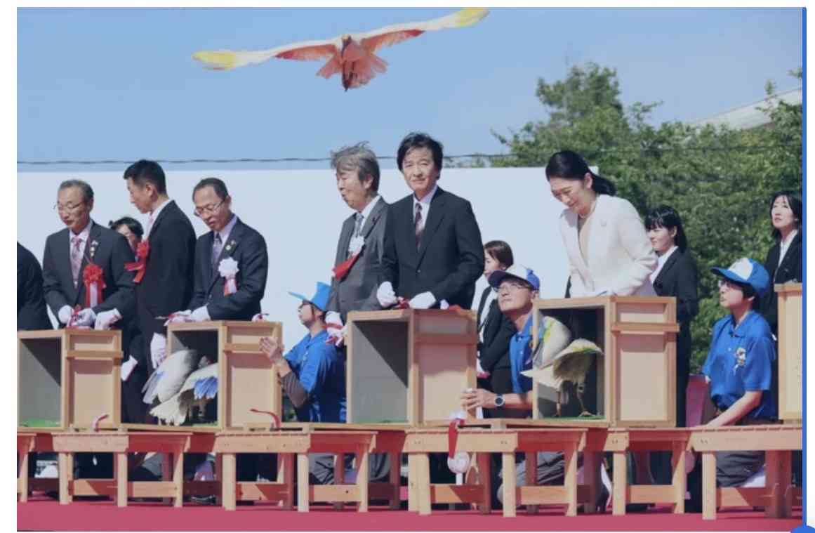 https://up.gc-img.net/post_img/2026/05/153yQfkFS2iOqgx_mUtkK_5510.jpeg