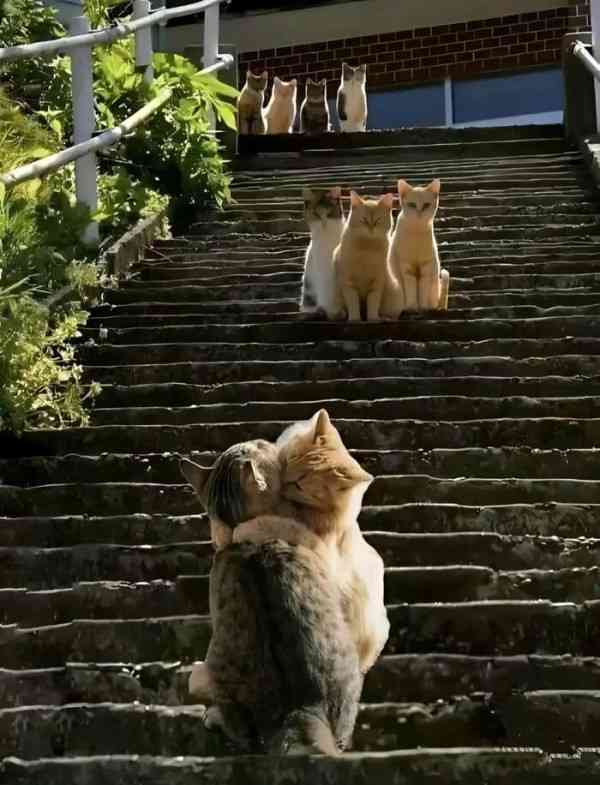 カップルに見える画像を貼ってください