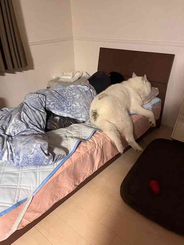 カップルに見える画像を貼ってください