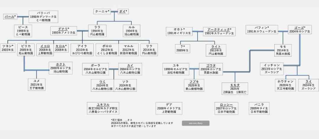 ホッキョクグマが好きな人集まれ🐻‍❄️