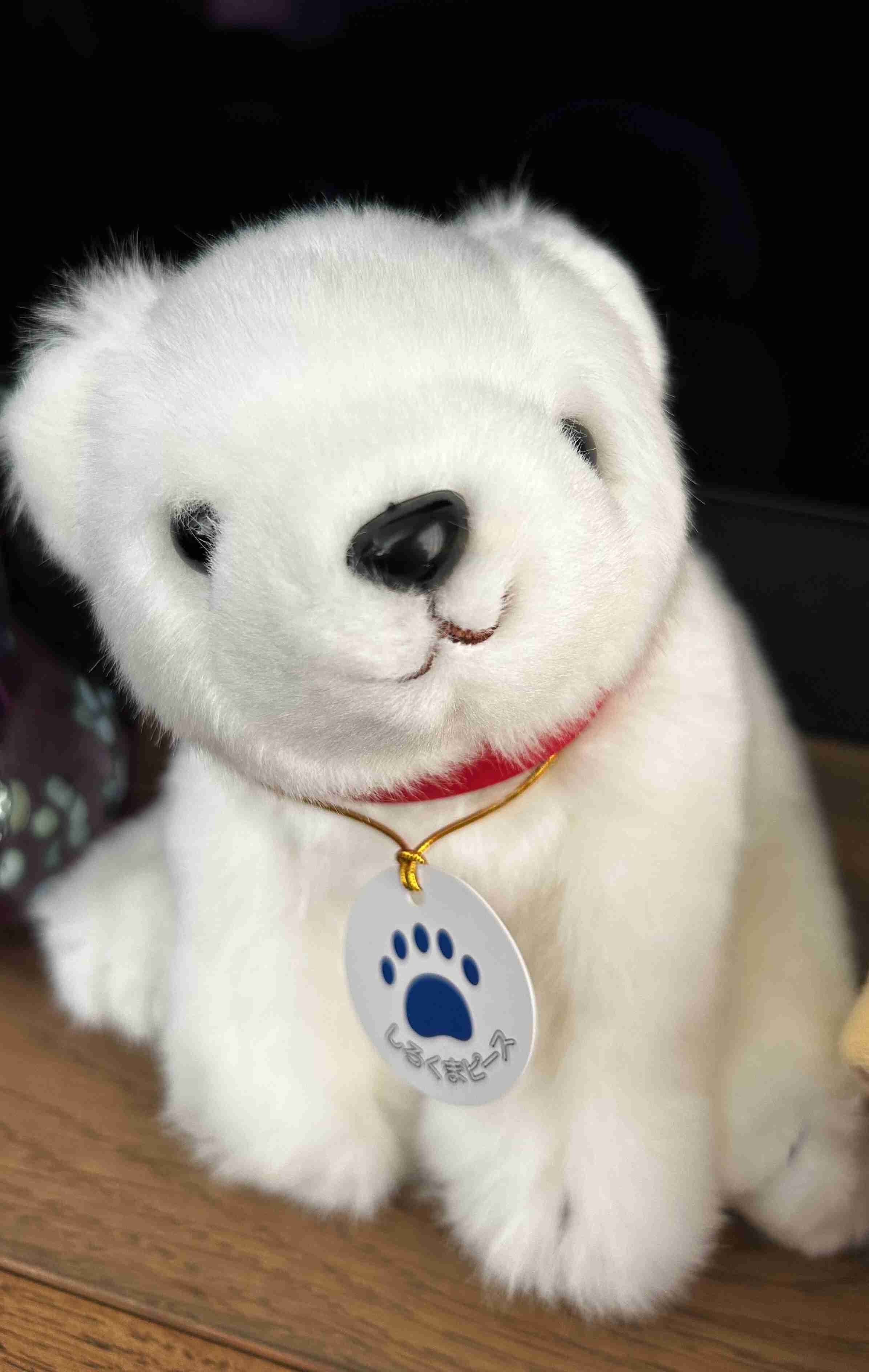 ホッキョクグマが好きな人集まれ🐻‍❄️