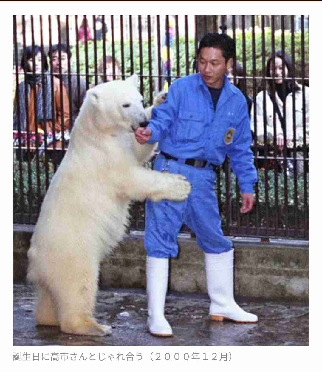ホッキョクグマが好きな人集まれ🐻‍❄️