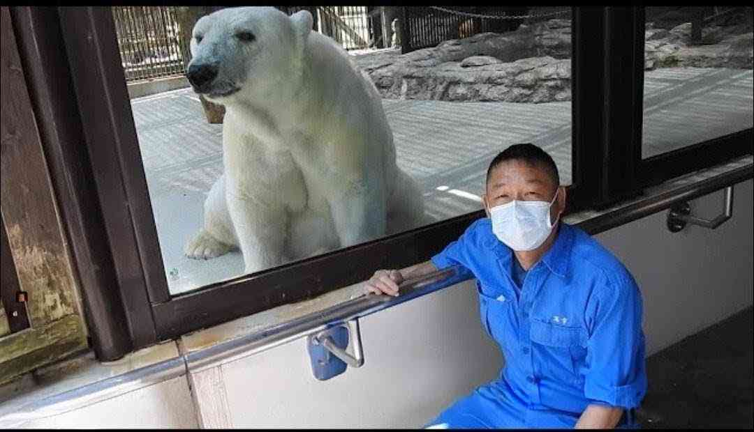 ホッキョクグマが好きな人集まれ🐻‍❄️