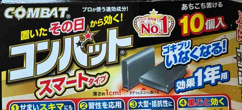 【教えて】G対策【※画像は無しでお願いします🙇‍♀️】