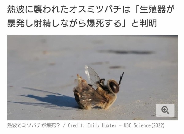 最近知った衝撃的なことPart2