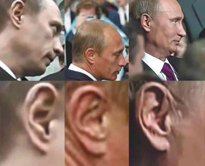 プーチン大統領の秋田犬死ぬ 県が贈呈の「ゆめ」、昨年高齢で