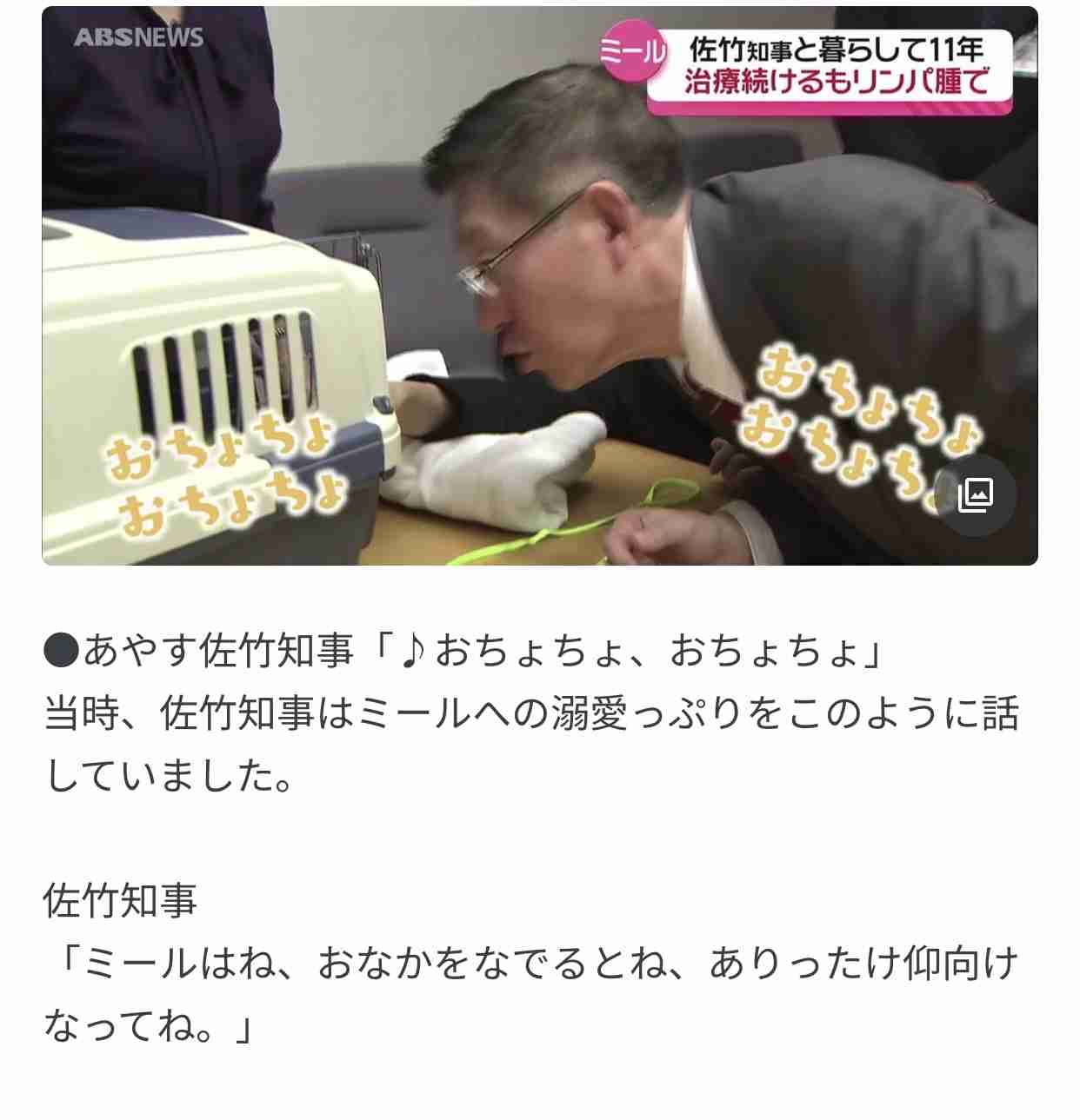 プーチン大統領の秋田犬死ぬ 県が贈呈の「ゆめ」、昨年高齢で
