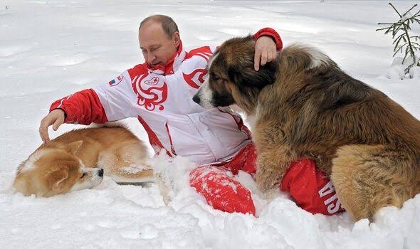 プーチン大統領の秋田犬死ぬ 県が贈呈の「ゆめ」、昨年高齢で
