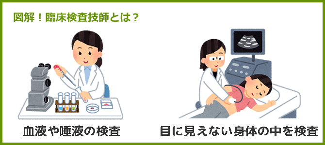 臨床検査技師の人！興味がある人！