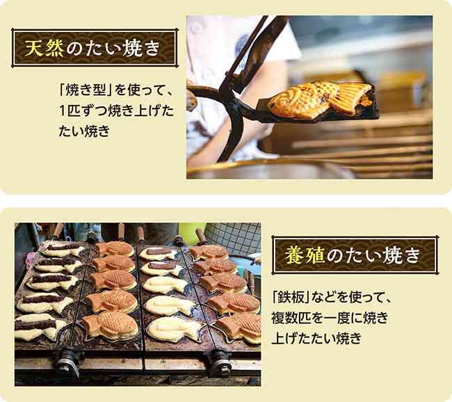 意外と知られていないこと