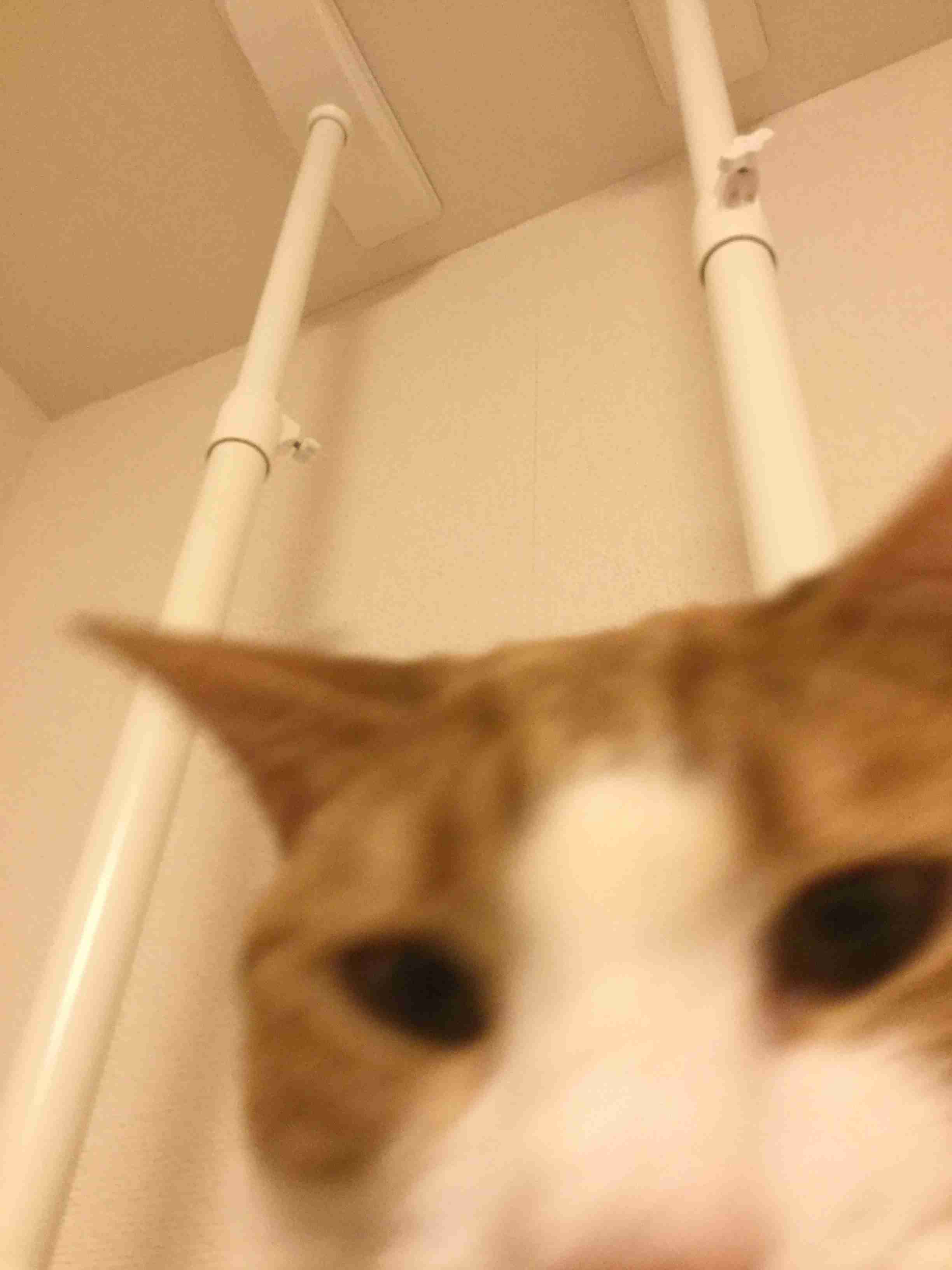 写真を絶対に可愛く撮ってくれない人