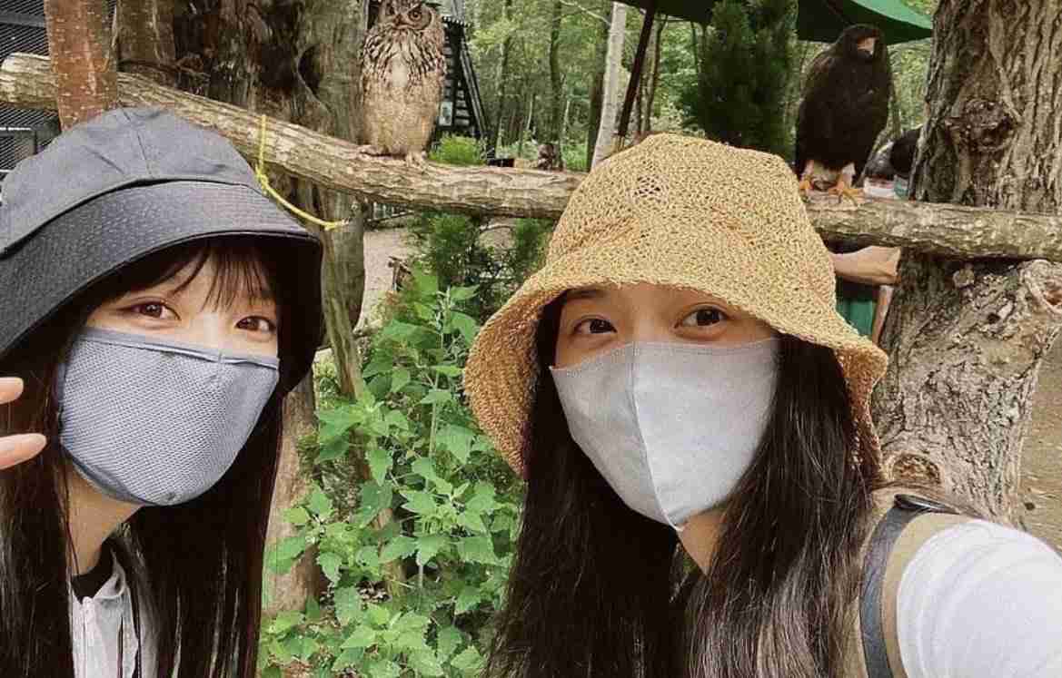 西野七瀬さん好きな人