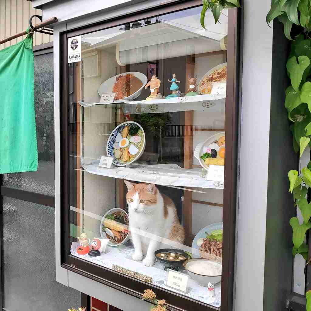 *なぜそこ猫の画像が集まるトピPart8*