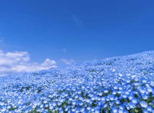 神経質な自分に嫌になる瞬間