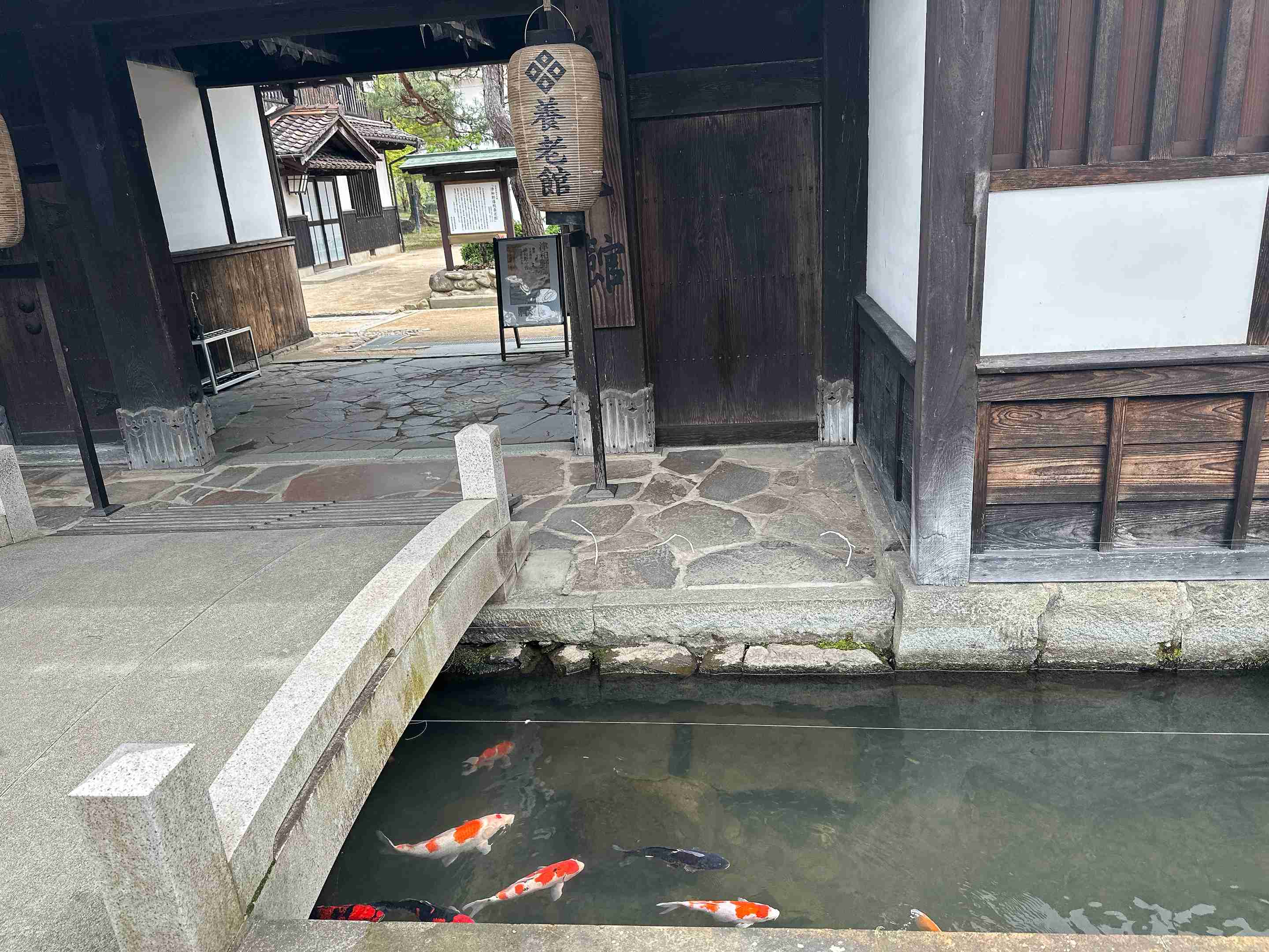 山口旅行のおすすめ