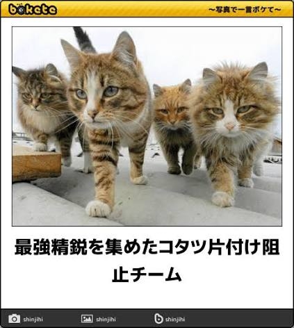 【和室】畳の部屋【手入れ】
