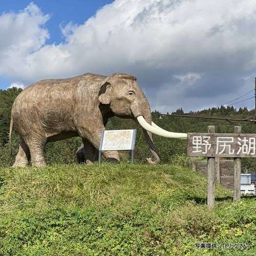 レンタサイクルで周遊 遊べるところ