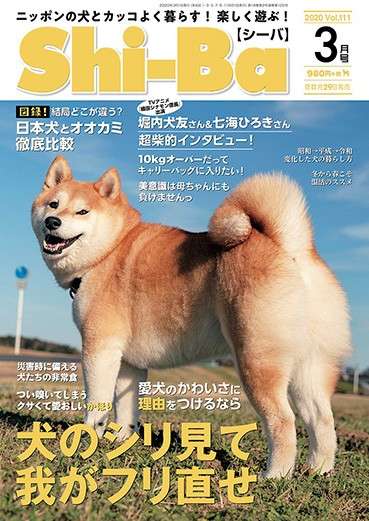 好きな雑誌は何ですか？