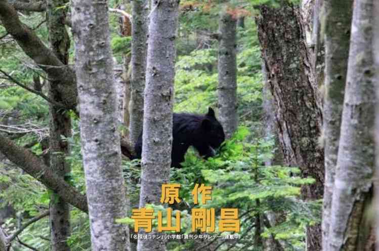 「そりゃ解決できないわ…」クマ騒動で「殺すなんてかわいそう」と「絶滅すべき」が激突する納得のワケ