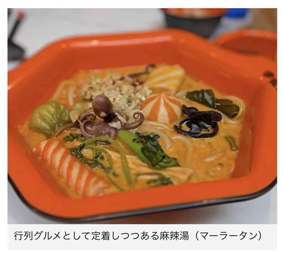 麻辣湯の具材と様子
