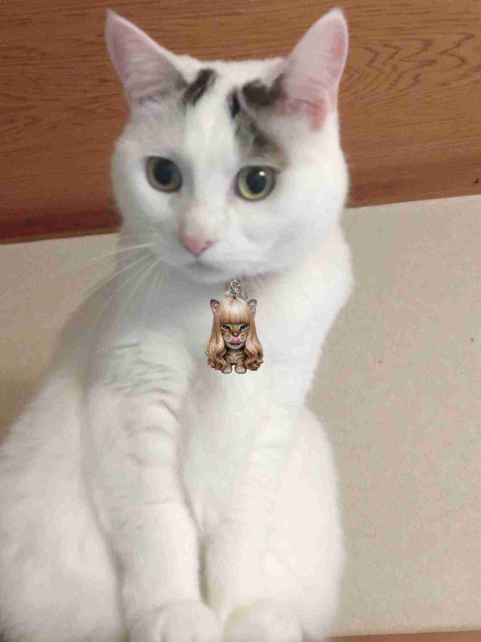 がるちゃん猫カフェ122号店開店しました♪(初めての方も大歓迎♪)