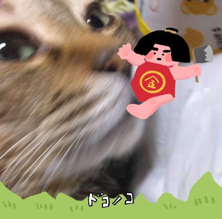 がるちゃん猫カフェ122号店開店しました♪(初めての方も大歓迎♪)