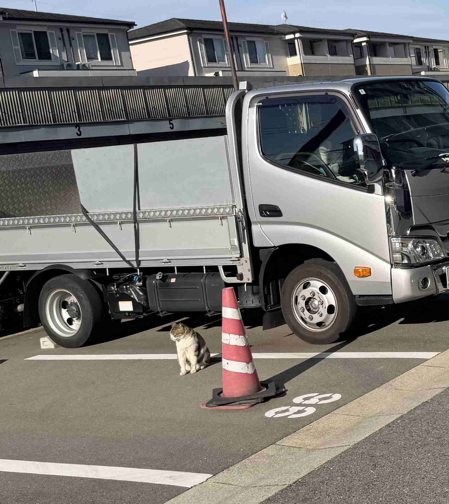 仕事を休んだ時の罪悪感…