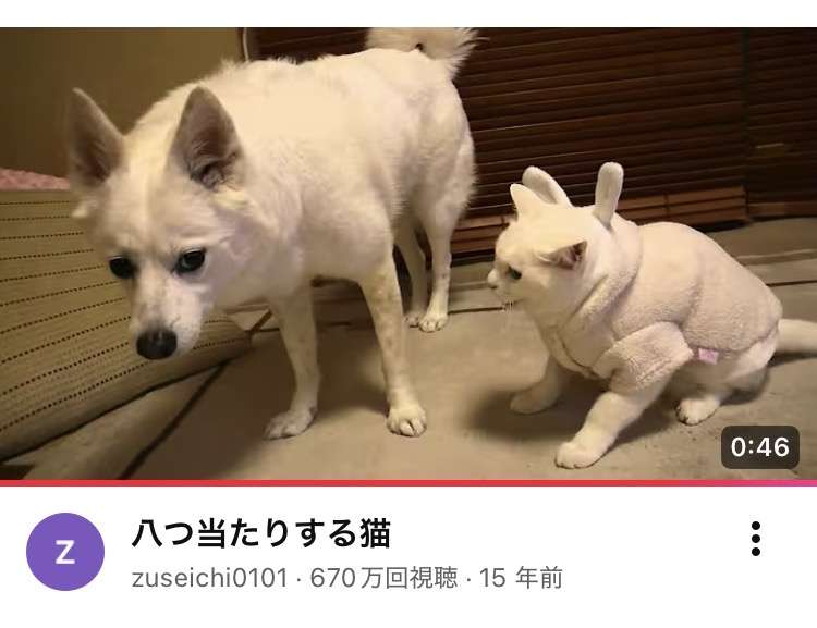 見たことあるYoutube動画にプラス
