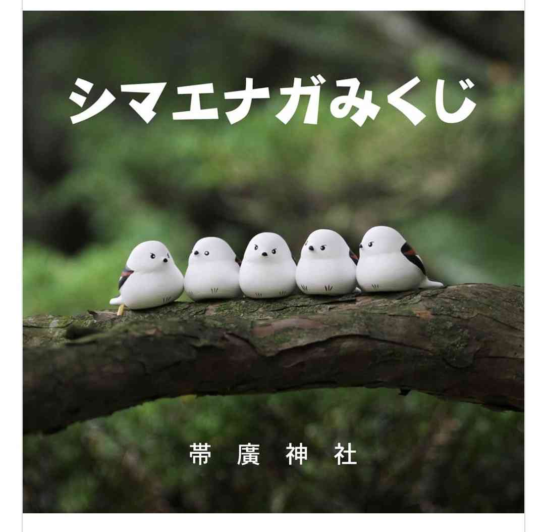 可愛いおみくじが見たい