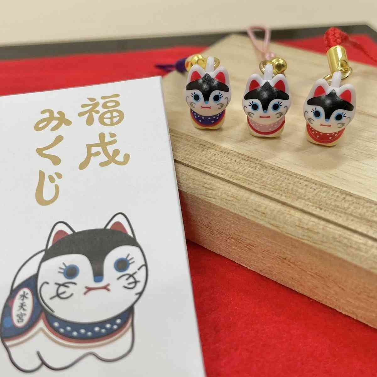 可愛いおみくじが見たい
