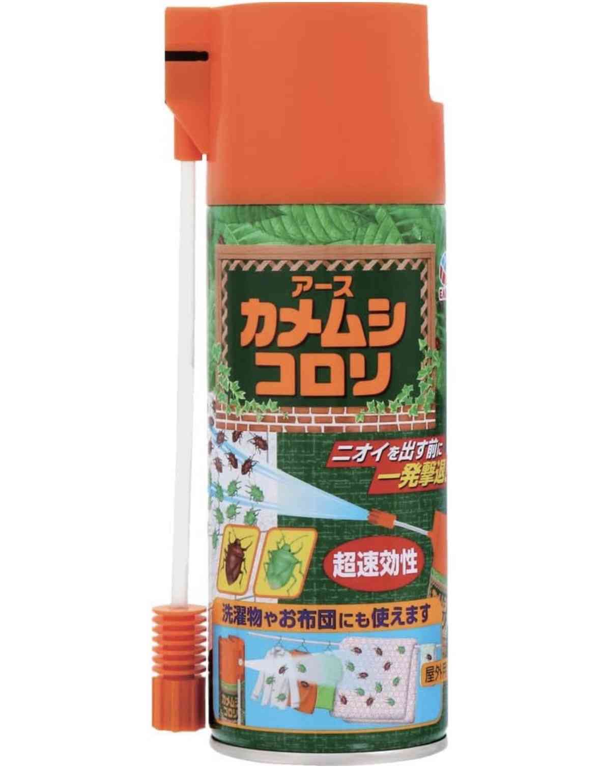 カメムシが出た！