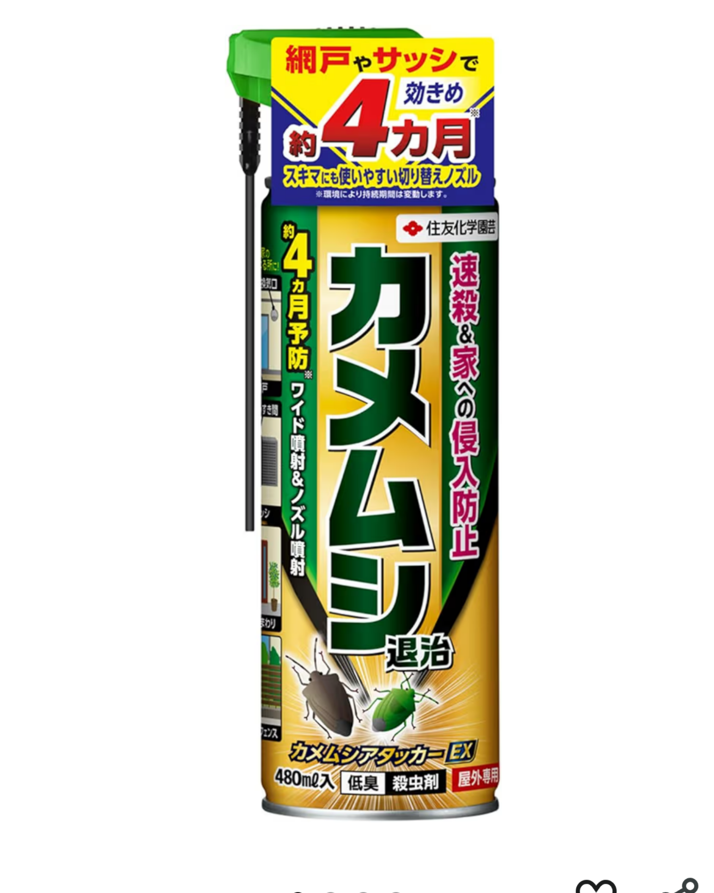 カメムシが出た！