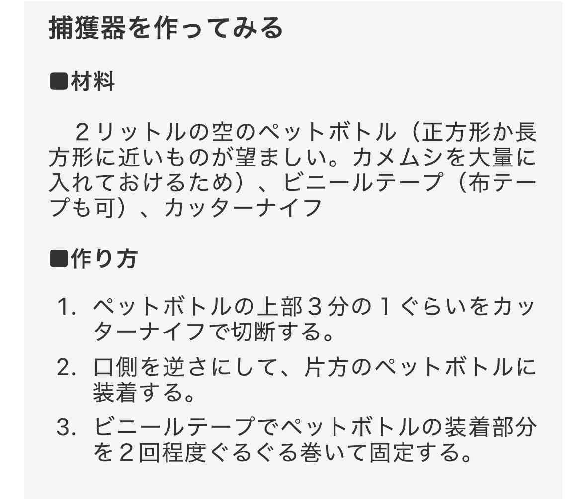 カメムシが出た！