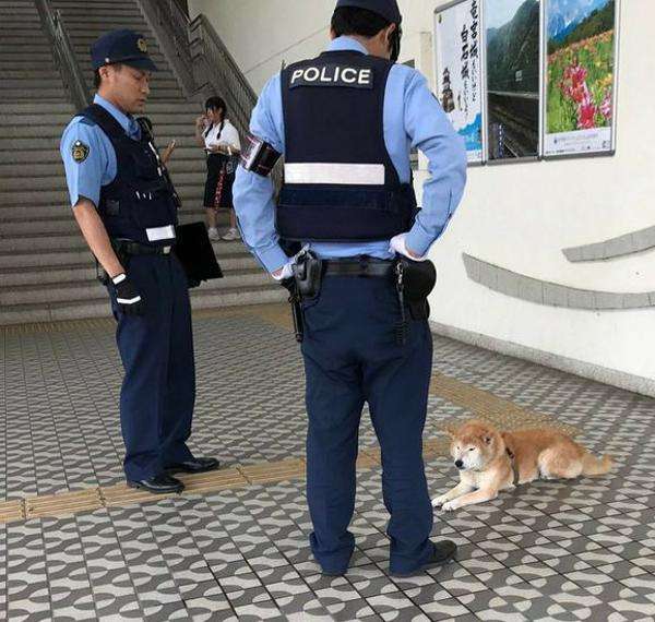 警察に通報したことがある人！