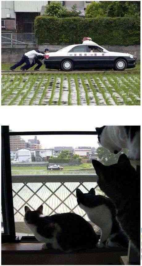 警察に通報したことがある人！