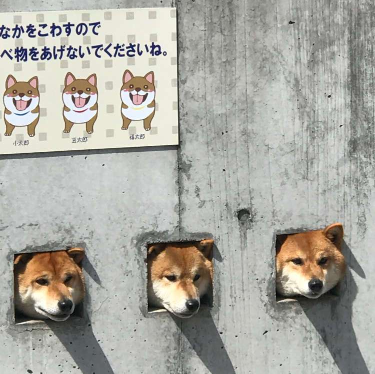 うちの外壁が隣人とそっくりになってしまう