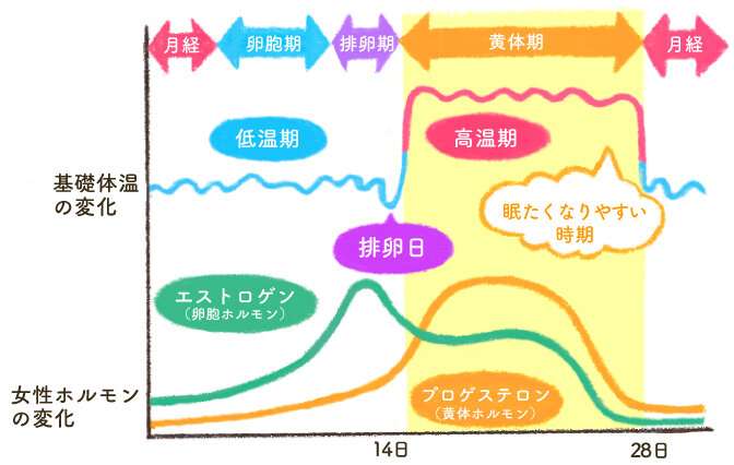 生理による不調を叫ぶトピ【前中後いつでも可】