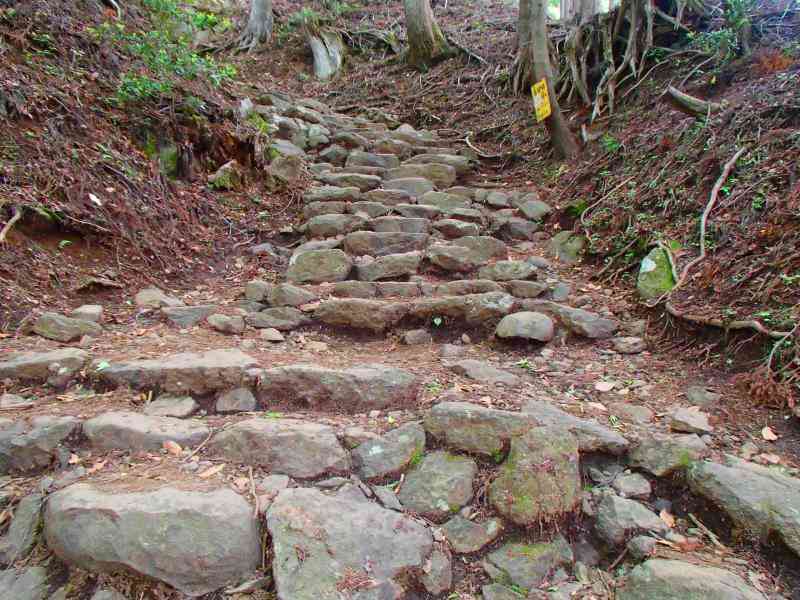 年をとる前に旅行すべき場所は？