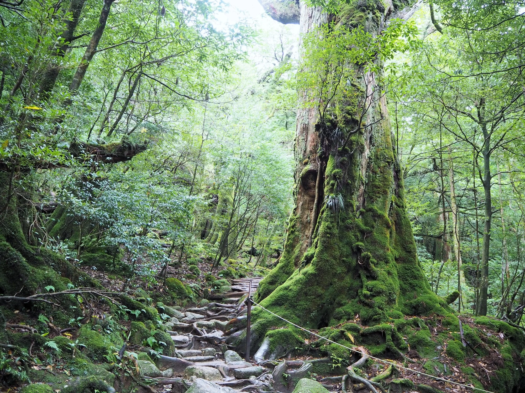 年をとる前に旅行すべき場所は？