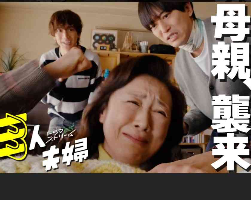 【ドラマ】「産まない女はダメですか？－DINKsのトツキトオカ－」観ている人