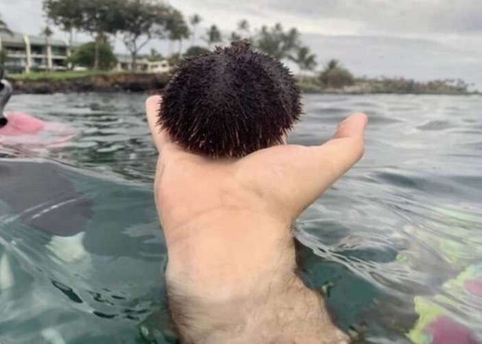 ○○が○○に見えた画像を貼るトピ