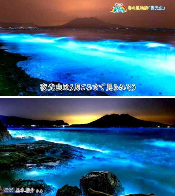 鹿児島県民集まれー