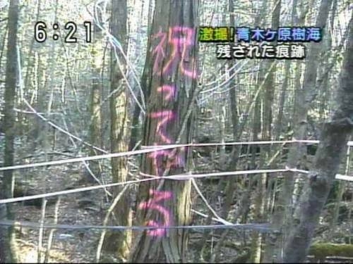 ちょっとだけ呪い、を考えるなら