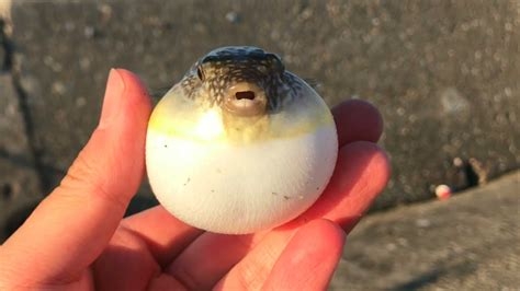 旦那が娘を男湯に連れて行ってた