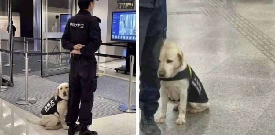 優しい気持ちになれる画像