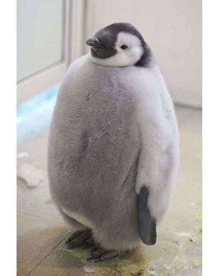 優しい気持ちになれる画像