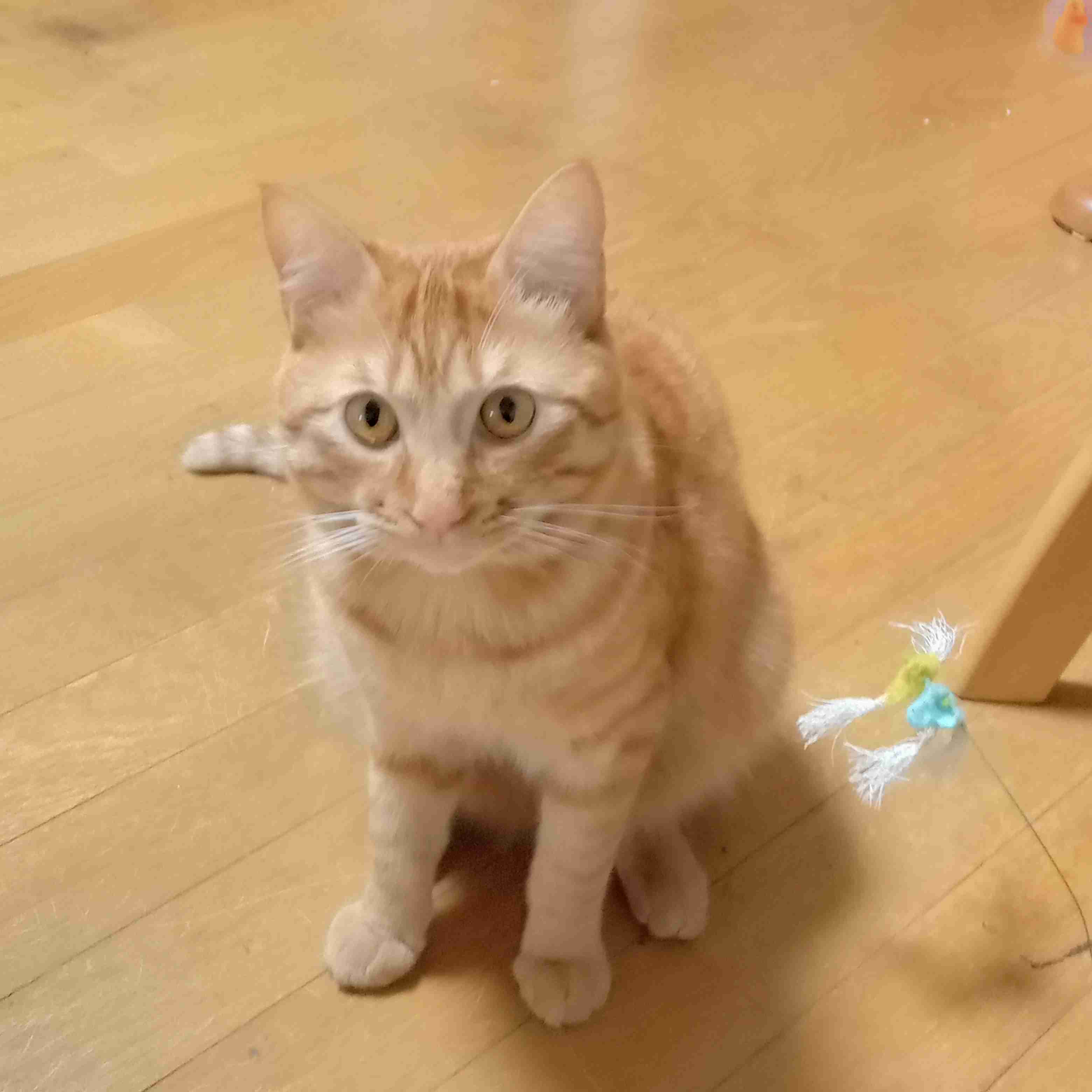 優しい気持ちになれる画像