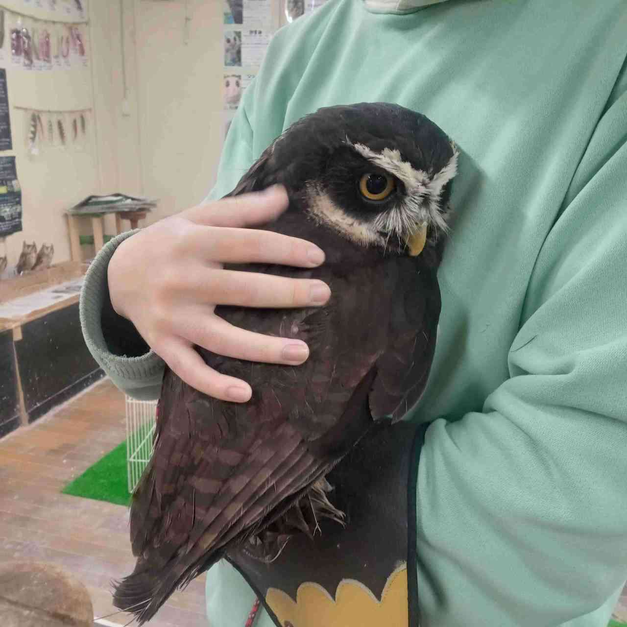 優しい気持ちになれる画像